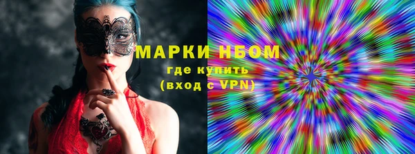 индика Аркадак