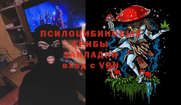 индика Аркадак