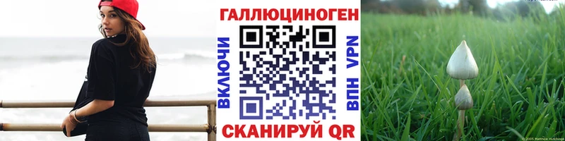 Псилоцибиновые грибы MAGIC MUSHROOMS где купить наркоту дарк нет клад Ейск